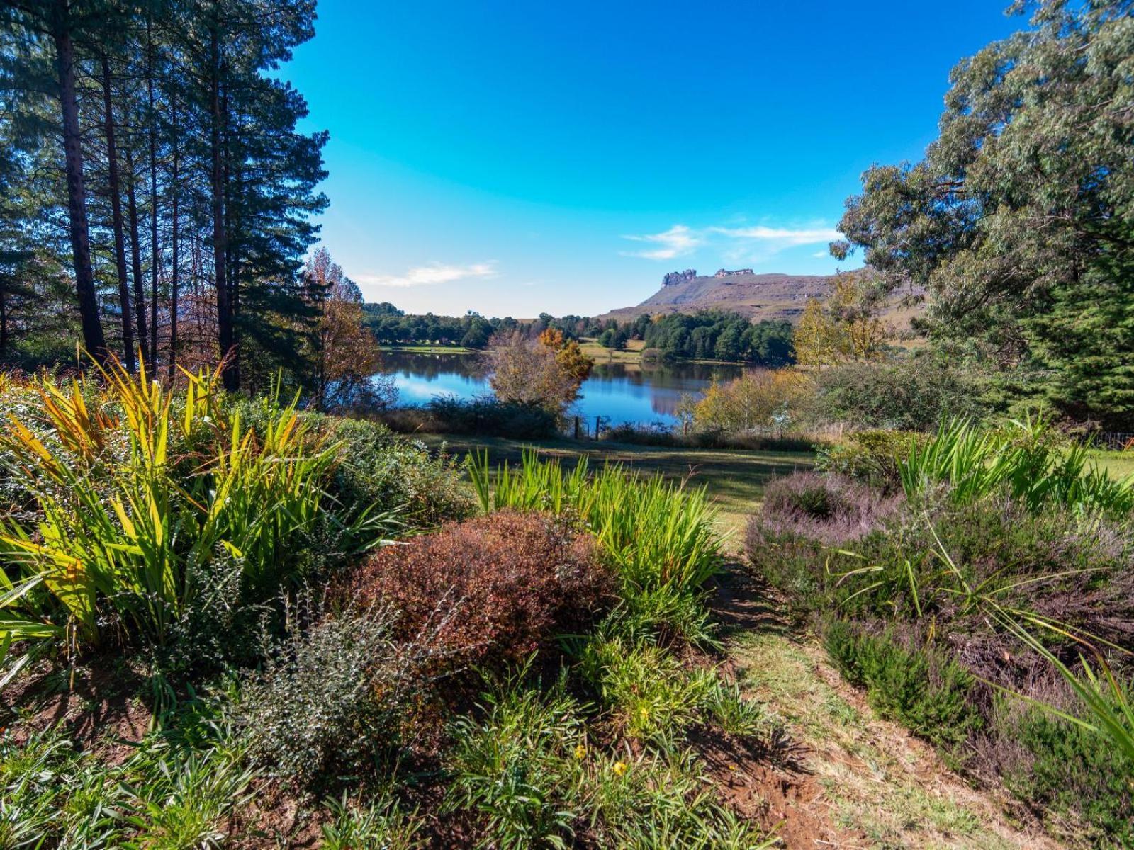 Lake Naverone Holiday Cottages Drakensberg Garden Εξωτερικό φωτογραφία